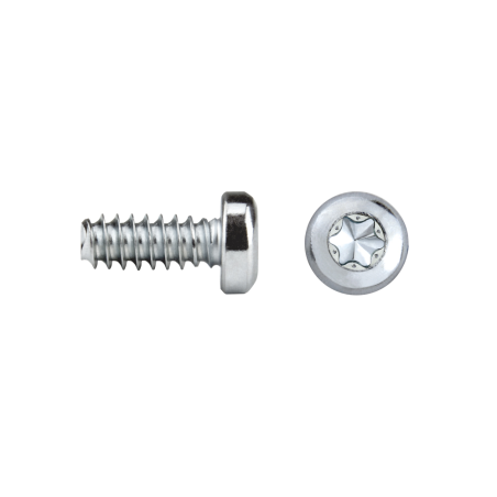 REMFORM®F skrutka s plochou hlavou FF81T TORX®.